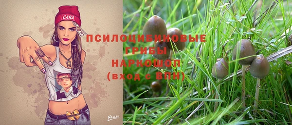 МДПВ Зерноград
