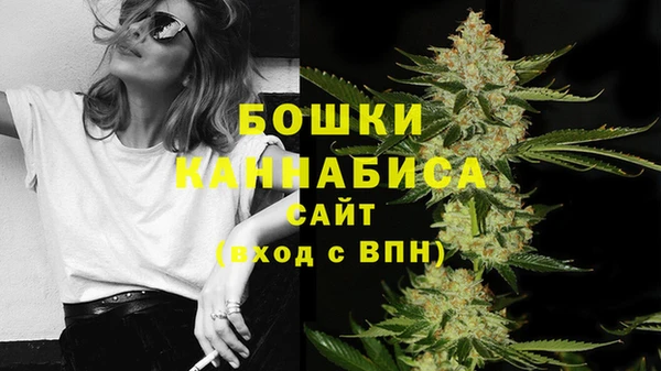 spice Зеленодольск