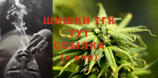 spice Зеленодольск