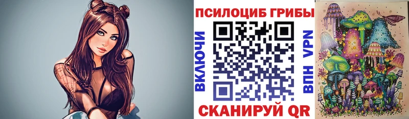 Купить закладки  Наволоки  Галлюциногенные грибы Psilocybine cubensis 